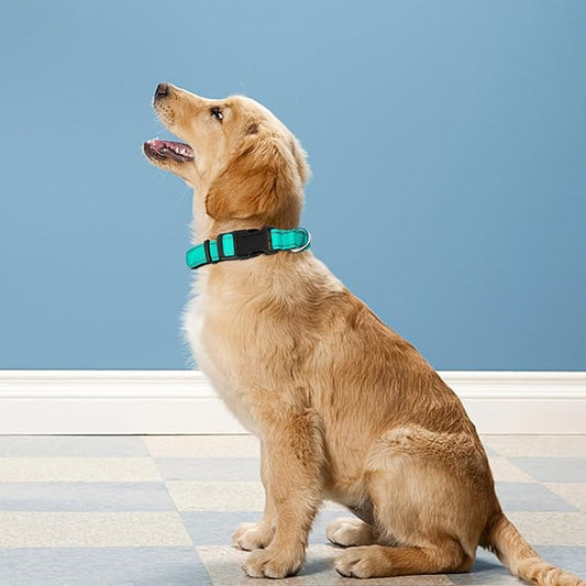 Reflective Dog Collar, Adjustable Soft Neoprene Padded Nylon Pet Collars with Buckle for Large Dogs, Teal,L