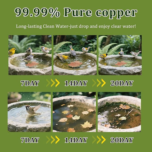 Maple Leaf-Shaped 99.99% Pure Copper Bird Bath Purification Disk, 0.6mm Reinforced, Triple-Point Support Design, Metal Cleaner Safe for Outside Bowls, Physical Water Cleaning, All-Season Use