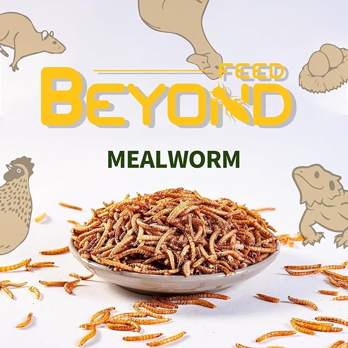 BeyondFeed™ 2.2 lbs Dried Mealworms - Premium High-Protein Feed for Chickens, Ducks, Birds, Reptiles, Fish, Hamster, Turtles and More (2.2lbs/1kg)