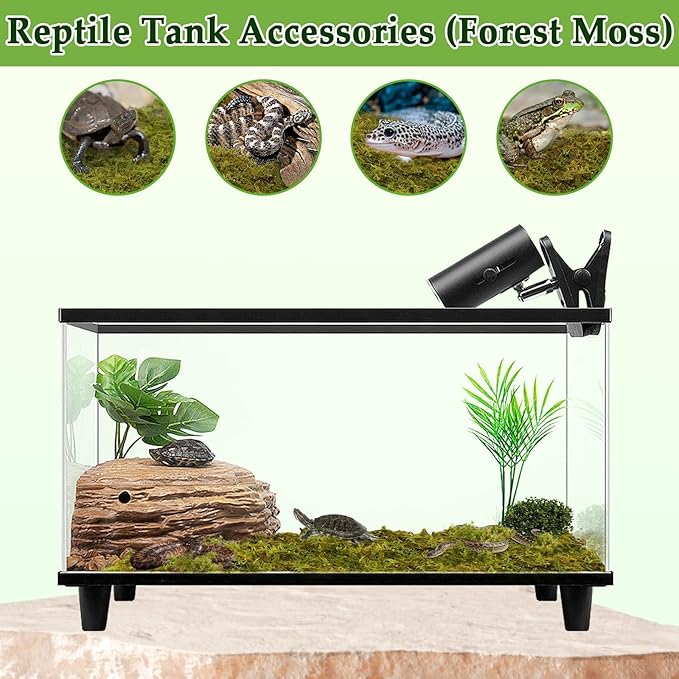 Halatool 9OZ Natural Sphagnum Moss for Reptiles- 14QT Green Moss for Terrarium Plants Long Fiber Reptile Moss for Leopard Gecko Snake Hamsters Tortoises Frogs Lizards Salamanders