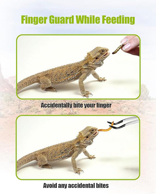 2Pcs Reptile Feeding Tongs with Rubber Tips, Reptile Tank Accessories, 6 Inch Bearded Dragon Feeding Tweezers for Leopard Gecko, Lizards, Tarantula, Frogs, Axolotl and Turtles