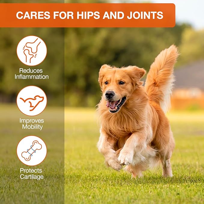 Hemp Calming Chews for Dogs 180Ct - Dog Calming Chews - Anxiety Relief Treats and Bites for Dogs - Dog Supplements for Separation, Thunderstorms, Stress, Barking, Promote Relaxation - Chicken Flavor