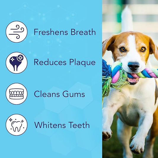 NOVEHA 100PCs Pets Dental Finger Wipes for Dogs & Cats | Freshens Breath, Reduces Plaque | Healthier Gums | Clean Teeth No Toothbrush | Vet Recommended Effective Natural Oral Care | Mint Flavor