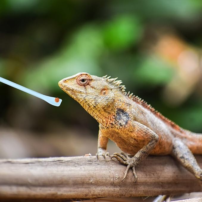 2Pcs Crested Gecko Food Mixing Spoon, Silicone Gecko Feeding Spoon, Long Handle Food Feeding Spoons for Reptile Lizard Gargoyle Bearded