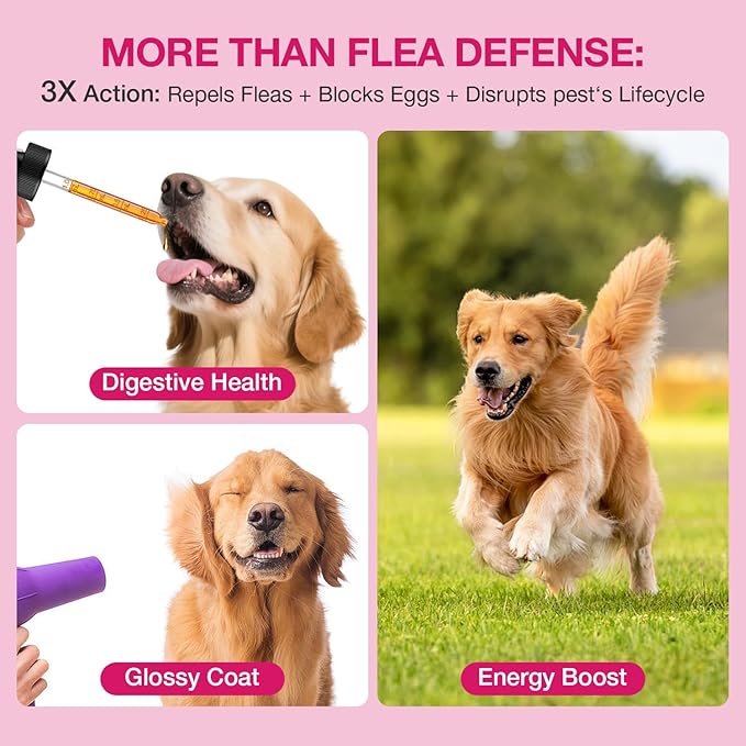 Flea & Tick Support for Dogs, Natural Dog Flea Liquid Drops, Flea & Tick Supplement with Vitamins & Fish Oil for Dogs
