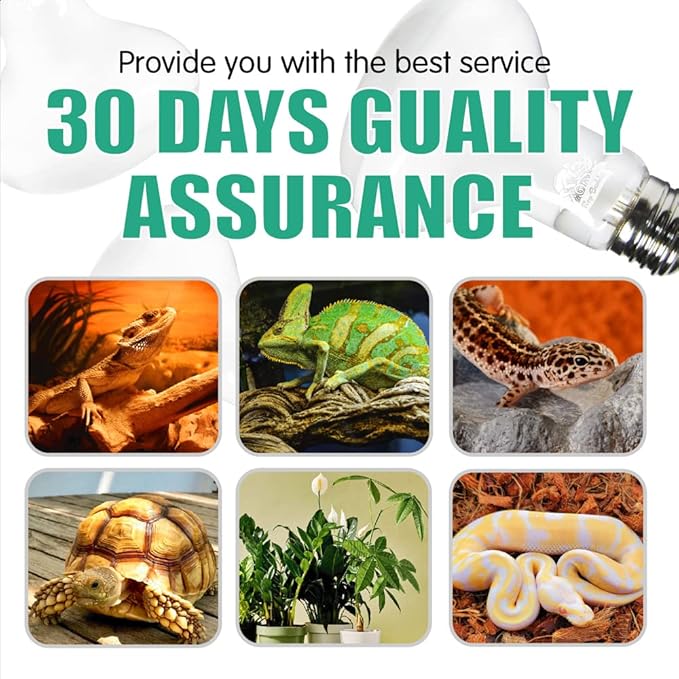 2 Pack Reptile Heating Bulb 75W with Sticked Digital Thermometer for Reptiles and Amphibians Gecko,Turtles,Chameleon,Lizard,Python,Ceratophrys