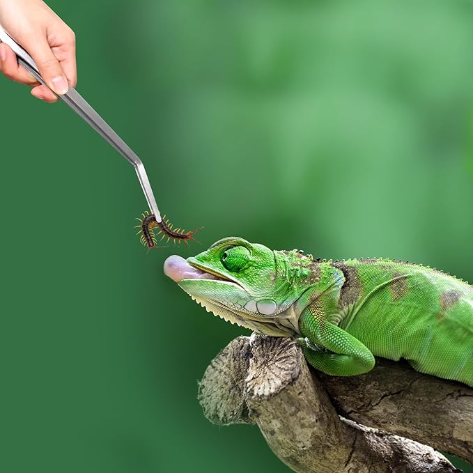 Long Aquarium Tweezers 15 inch - 4 Pcs Stainless Steel Crafts Tweezer Curved & Straight Design with No Slip Tips, Reptile Feeding Tongs, Terrarium Aquascape Tools Snake Bearded Dragon Tank Accessories