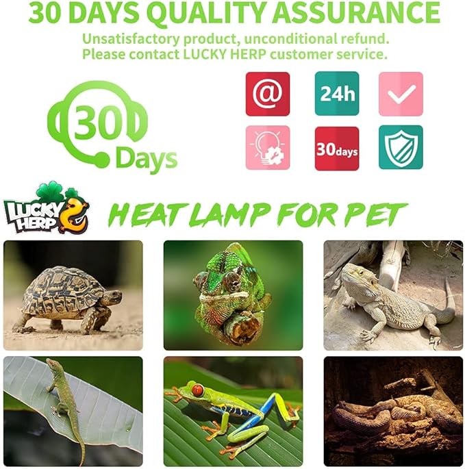 LUCKY HERP 4 Pack 100W Reptile Heat Lamp Bulb (2nd Gen), Amphibian Basking Light Bulb, Reptile Daylight Bulb for Turtle, Bearded Dragon, Lizard Heating Use