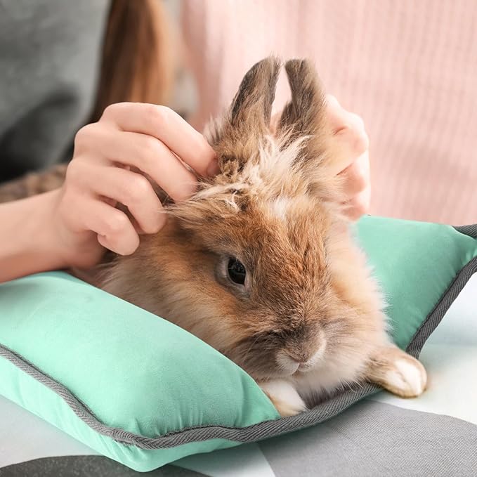 Rabbit Bed, Washable Bunny Pillow, Reversible Lounger Pad, Soft Small Animal Bedding, Stress Relief Pet Mat for Kittens, Guinea Pigs, Puppies