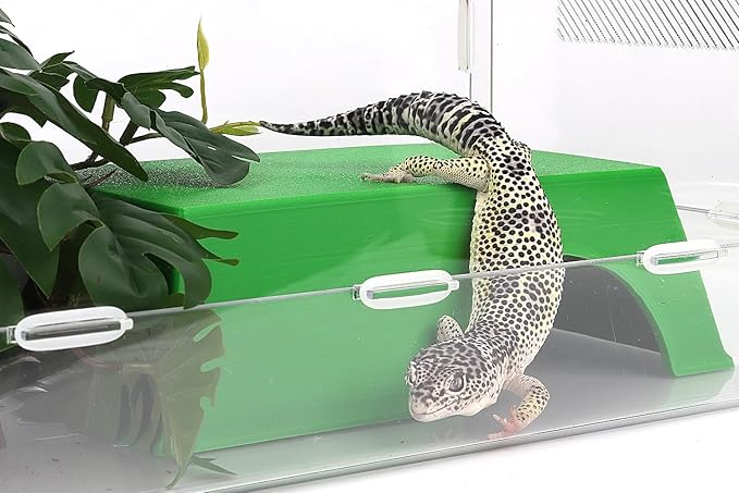 Snake Hide, Leopard Gecko Tank Accessories for Reptile Ball Python Crested Gecko Lizard Bearded Dragon - GreenHideXL