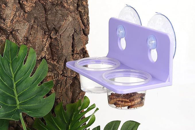 Crested Gecko Feeding Ledge with 10PCS Gecko Food Water Dish - Purple
