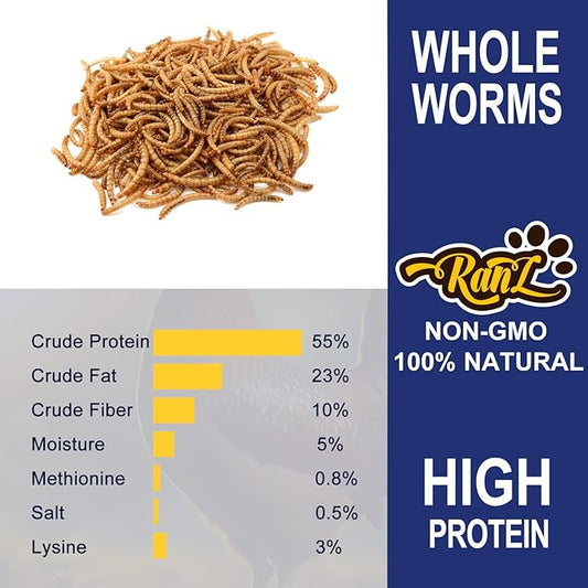 RANZ 20LBS Non-GMO Dried Mealworms for Chickens, High Protein Meal Worms, Premium Chicken Feed, Whole Large Mealworms for Blue Birds, Ducks, Fish
