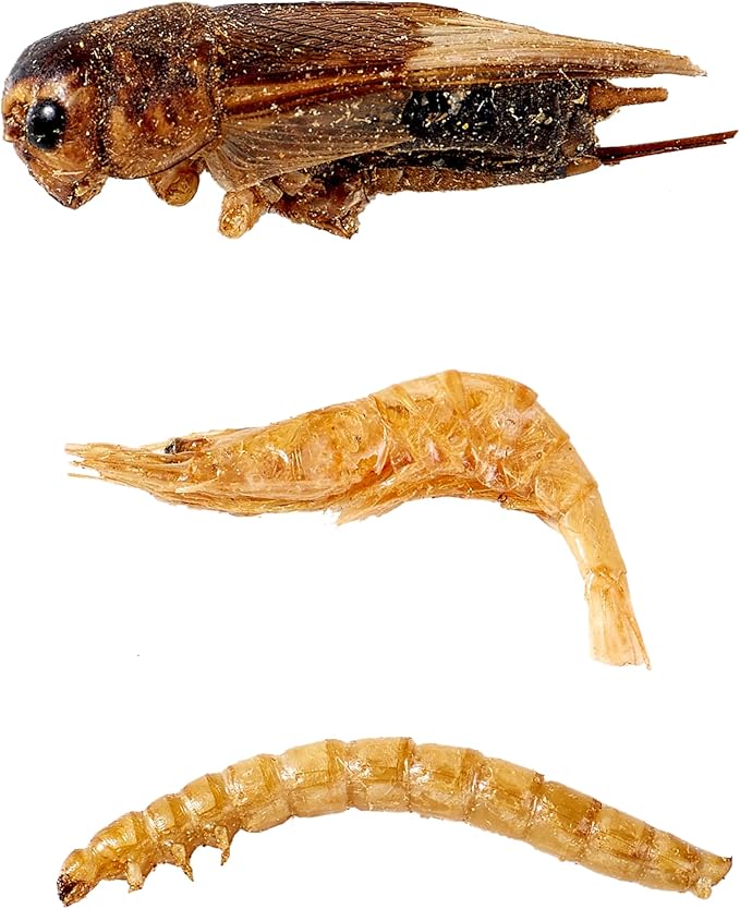 Mighty Crunch Mix Aquatic Turtle Food - 1 Lbs Resealable Bag of High Protein Insect Blend, Dried Mealworms, River Shrimp, Crickets - for Turtles, Reptiles & Amphibians, Chicken, Birds