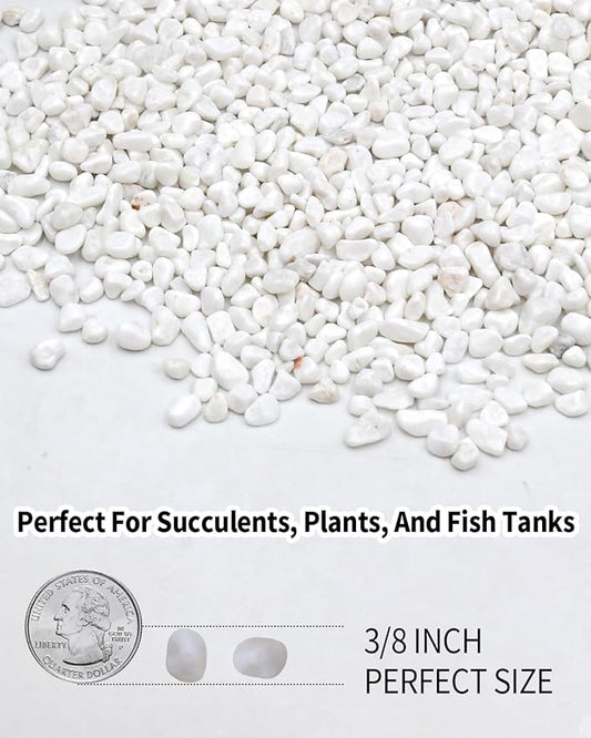 6LB White Succulent & Cactus Gravel Pebbles - 1/4-3/8 Inch Natural Polished River Rocks, Decorative Stones for Plants, Terrariums, Vases, Aquariums & Outdoor Gardening