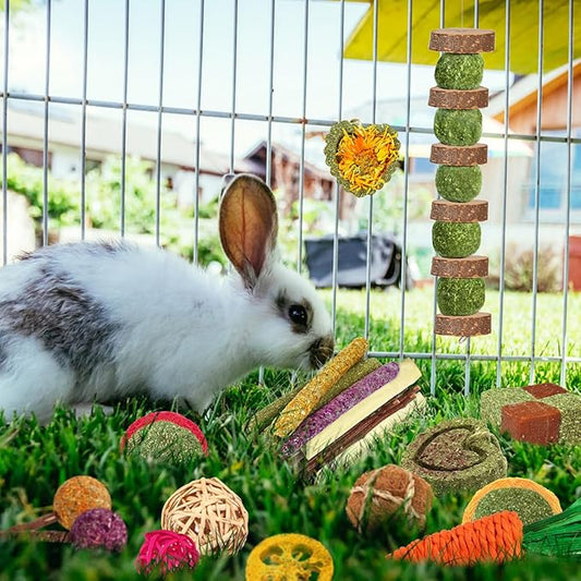 Rabbit & Guinea Pig Toys - Natural Timothy Hay & Apple Wood Sticks for Teeth Care - Handmade for Hamster, Bunny, Chinchilla (27 Pcs)