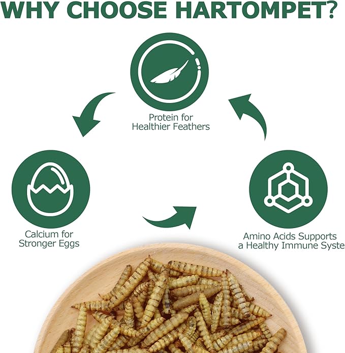 Dried BSF Larvae for Chickens - Non-GMO Poultry Feed Supplement, 85X More Calcium Than Mealworms, 5LB Grub Worms Perfect for Molting & Laying Hens, Ducks, and Wild Birds