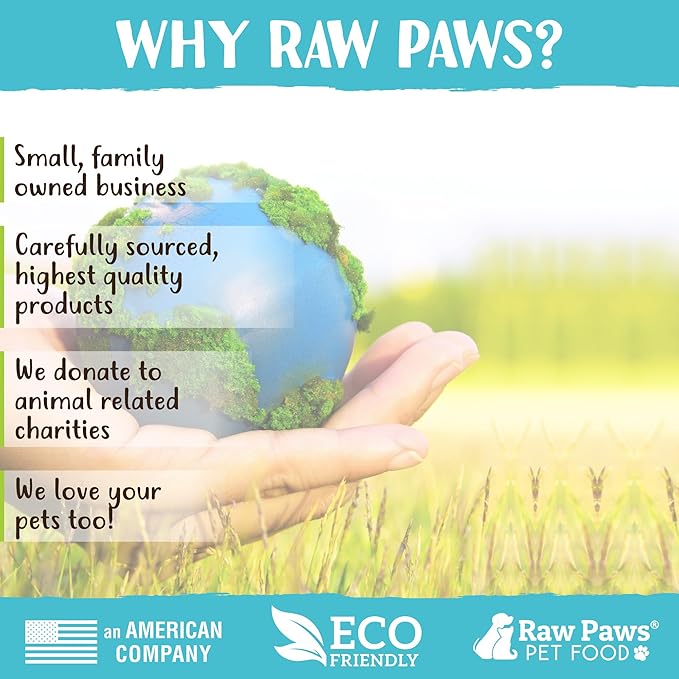 Raw Paws Freeze Dried Ferret Food - Beef Recipe, 16-oz - Made in USA - Grain Free Ferret Diet for Small, Adult, Senior & Baby Ferrets - Natural Ferret Treats for Rewarding & Training - Ferret Food Dry