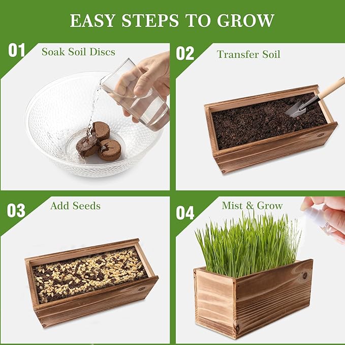 5-Pack Cat Grass Kit for Indoor Cats with Wood Planter, Grow Organic Non-GMO Wheat Grass in 4-7 Days, Aids Digestion & Hairball Control, Ideal Birthday Gift for Cat Lovers