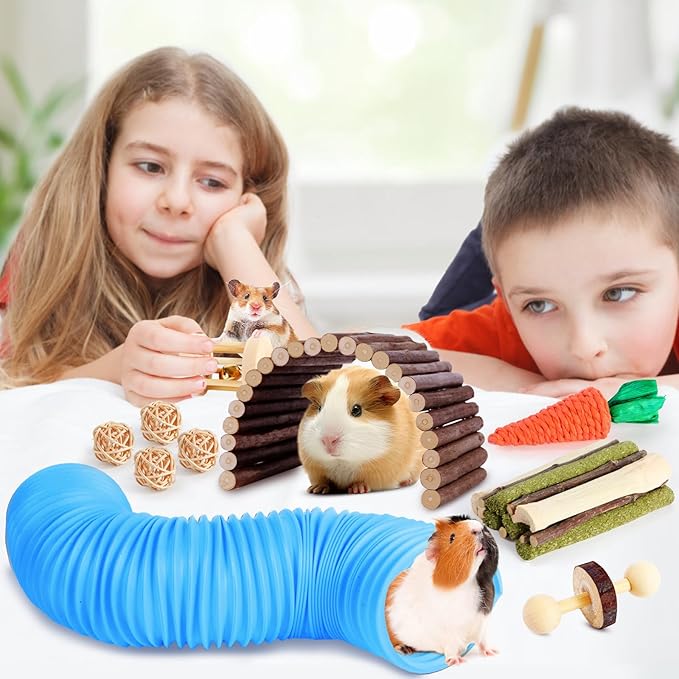 Kyouki Hamster Toys Guinea Pig Toys Set with Tunnel, Chewable Apple Wood & Natural Timothy Hay - Enrichment Chew Toys for Small Animals - 24+ Cage Accessories for Teeth Care & Boredom Relief (Blue)