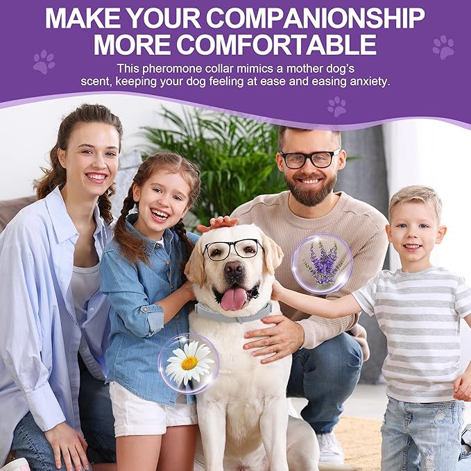 6-Pack Pheromones Calming Collar for Dogs, Waterproof Dog Calming Collar Relief Anxiety, Barking, Bad Behaviors, 60 Day Lasting for Small, Medium & Large Dogs, 25 Inches Adjustable (Gray)
