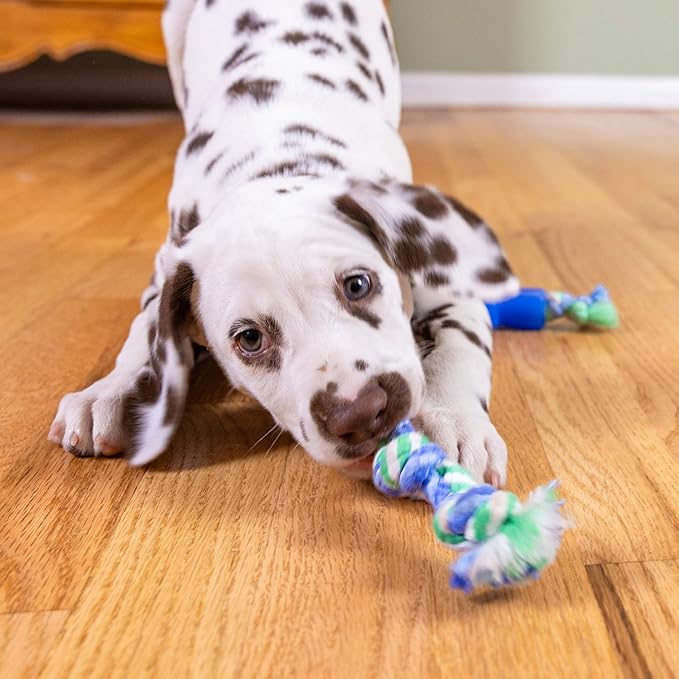 Outward Hound Orka Puppy Dental Chew Toys for Small Dogs & Teething Puppies - 3 Pack
