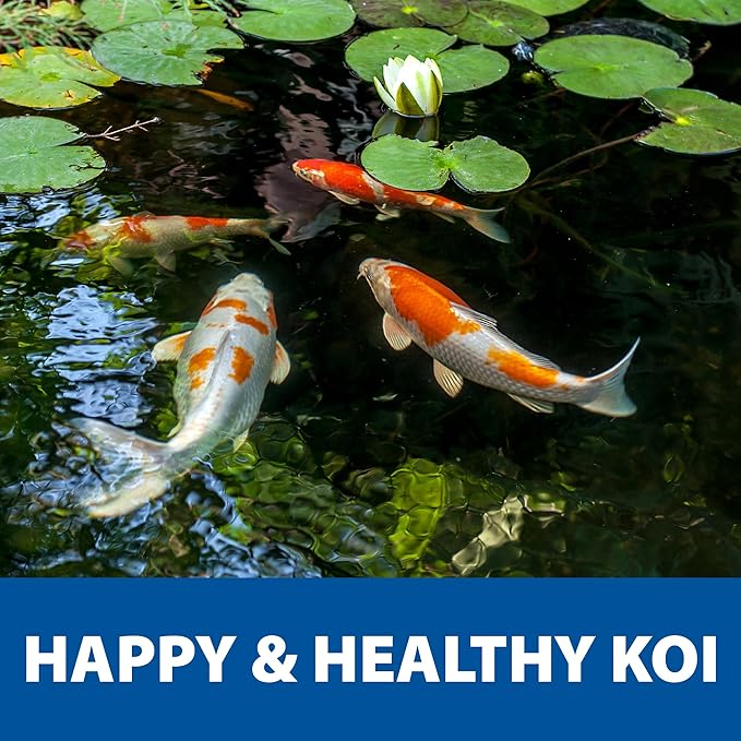 The Pond Guy Spring & Fall Wheat Germ Fish Food for Koi & Goldfish, Premium Cold Weather Floating Pellets, Healthy Formula for Winter Nutrition, 12 lbs