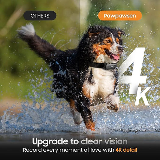 4K UHD Dog& Cat Pet Camera Collar, Video Recorder with Phone App Live View, Outdoor & Indoor POV Action Cam for Medium-Size and Big Dogs(White - Black Nylon Collar - L, 64g)