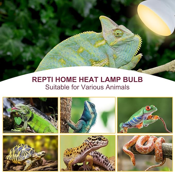 150W Reptile Heat Lamp Bulb,Basking Spot Lamp Bulb for Reptiles & Amphibians,Reptile Daylight Heat Bulb for Bearded Dragon, Lizard, Turtle