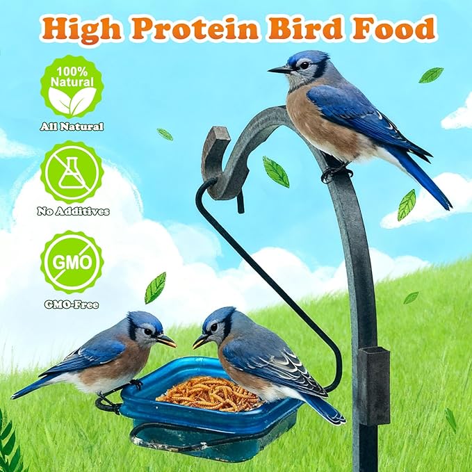 Amzey Appetizing Mealworms 5 LBS- 100% Non-GMO Dried Mealworms - Large Meal Worms - High Protein Treats- Perfect Mealworm for Chickens, Ducks, Turtles, Blue Birds, Lizards - Bag of Mealworms 5 LBS