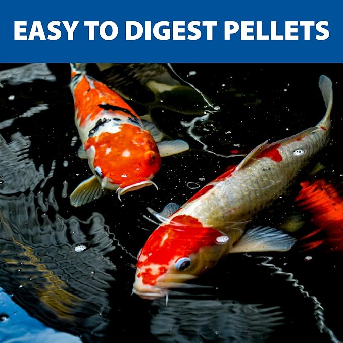 The Pond Guy Staple Fish Food for Backyard Koi & Goldfish, Choice Floating Pellets for Fish Wellness & Health, Smart Nutrition for Clean Ponds, 2 lbs