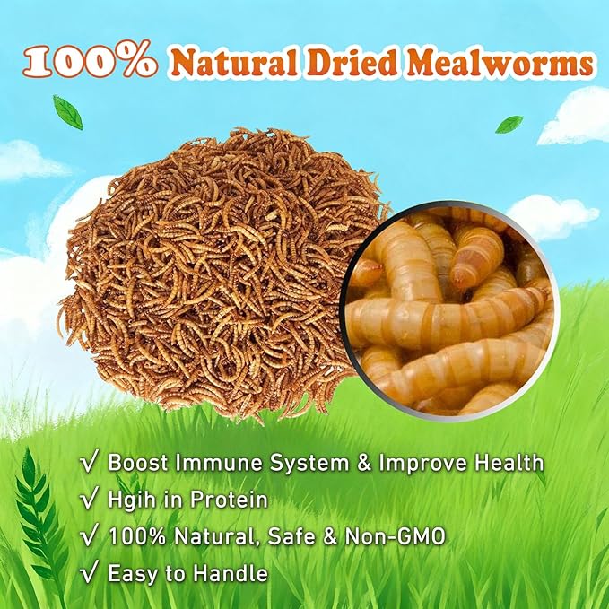 Amzey Appetizing Mealworms 5 LBS- 100% Non-GMO Dried Mealworms - Large Meal Worms - High Protein Treats- Perfect Mealworm for Chickens, Ducks, Turtles, Blue Birds, Lizards - Bag of Mealworms 5 LBS