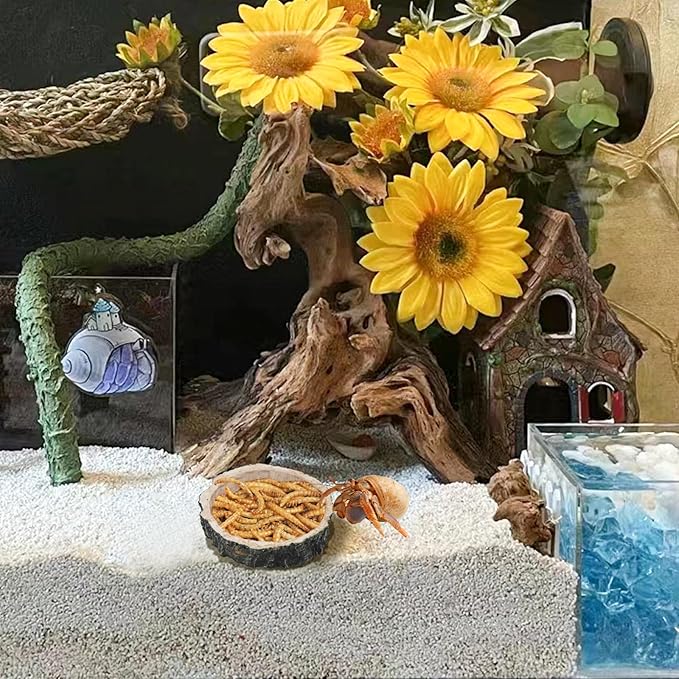 3 Pack Resin Reptile Dish for Food and Water with Tweezer, Hermit Crab Accessories, Hermit Crab Supplies, Hermit Crab Water Bowl, Habitat Accessories for Hermit Crab, Bearded Dragon, Gecko, Tortoise