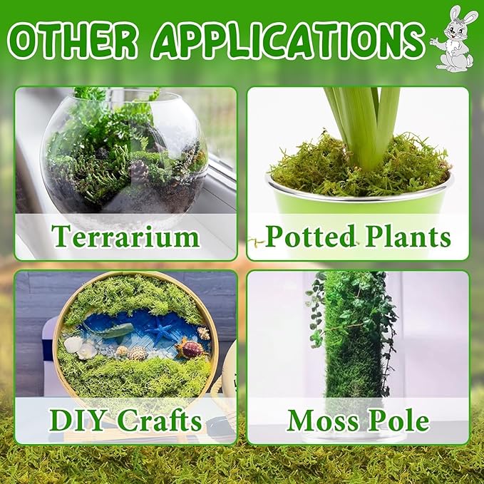 Halatool 12QT Small Animals Bedding & Nesting Material, Forest Moss for Odor Control Rabbits Squirrels Hamsters Guinea Pigs, Soft & Safe for Small Animals Cages Terrariums Reptiles Plants