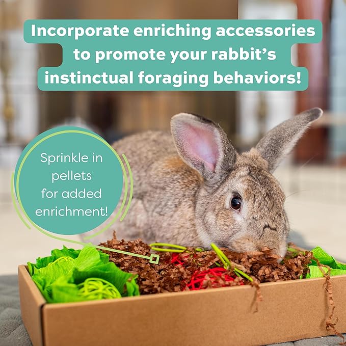 Oxbow Essentials Rabbit Food, Adult, Made with Oxbow Timothy Hay for Rabbit, Pet Pellets with Vitamins & Minerals, Small Animal Pet Products, Bunny Food, Made in USA, High Fiber, 10 lb. bag