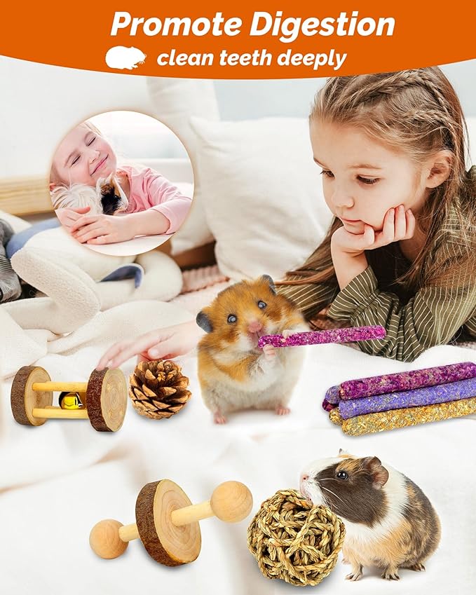 Hamster & Guinea Pig Toys - 18 Pcs Wooden Small Animal Chew Toys for Teeth - Rabbit, Chinchilla, Gerbils, Rats Exercise Accessories