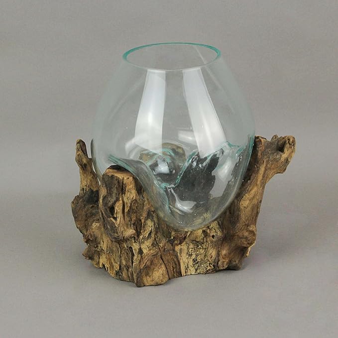 Things2Die4 Large Molten Glass Sculptural Bowl / Plant Terrarium On Natural Driftwood Base, Brown, 10 Inch
