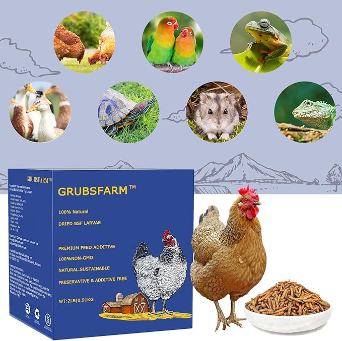 Premium Chicken Treats 2LB - Non-GMO & 85X More Calcium Than Meal Worms - Molting & Laying Supplement - BSF Larvae Treats for Layer Hens, Ducks Wild Birds