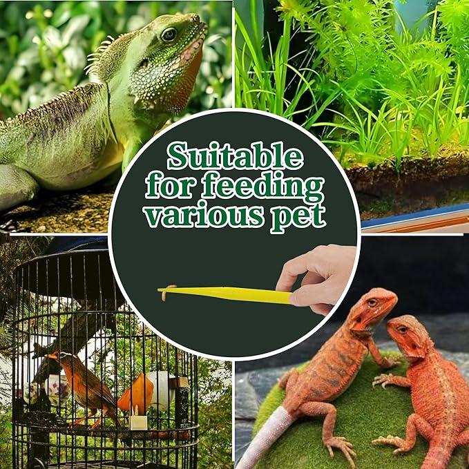 4-Pack Reptile Feeding Tongs Set - Hygienic Anti-Slip Yellow Tweezers for Bearded Dragons, Lizards, Snakes, Aquariums & Small Animals(Three Colors to Choose from, 18cm)