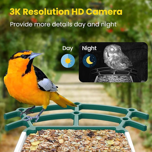 Bird Feeders for Outdoors, Smart Bird Feeder with Camera Solar Powered, AI Species Identification, 3K Video Live Stream Camera, 5Mp HD Night Vision, Instant Arrival Alerts