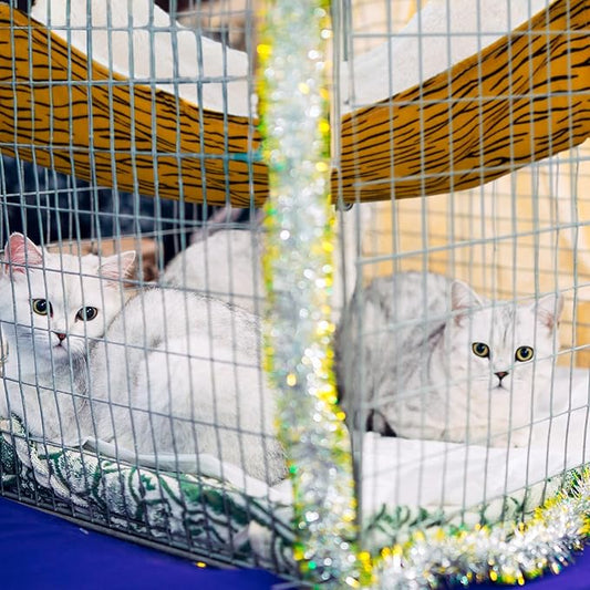 2 Pieces Reversible Cat Hanging Hammock Soft Breathable Pet Cage Hammock with Adjustable Straps and Metal Hooks Double Sided Hanging Bed for Small Dogs Rabbits(Zebra and Cat Paw Print,M)