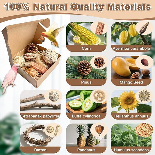 2 in 1 Parrot Toys, Tyotrbs Parakeet Foraging Box DIY Hanging String with Comes with 2 Hooks Bird Toy for Parakeets,Cockatiels,Conures,Love Birds Cage Accessories for Small to Medium Birds