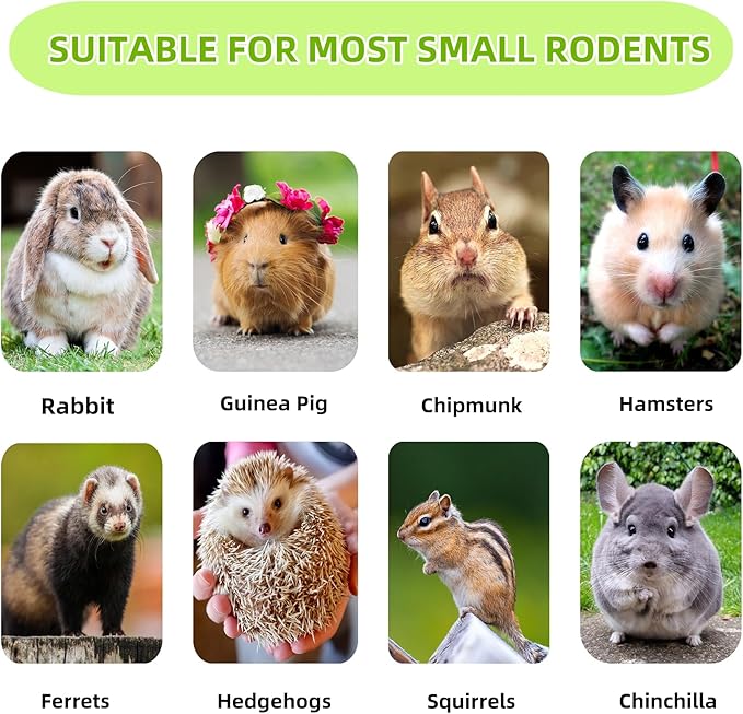 Rabbit Toys,Timothy Hay Stick for Guinea Pig Toy Bunny Chew Toys for Teeth Grinding Hamster Alfalfa Bite Treat Rabbit Molar Food Snack for Pet Rat Chinchilla Squirrel Gerbil-46PCS