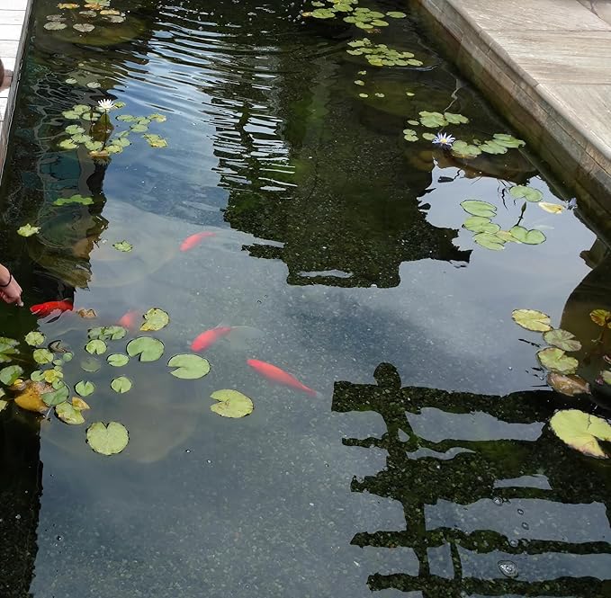 USA Pond Products' - 15x18 Black Pond Liner-15'W x 18'L (4.57m x 5.49m) in 20-mil Black PVC (0.50mm)-Fish/Plant Friendly for Koi Ponds, Streams & Water Gardens