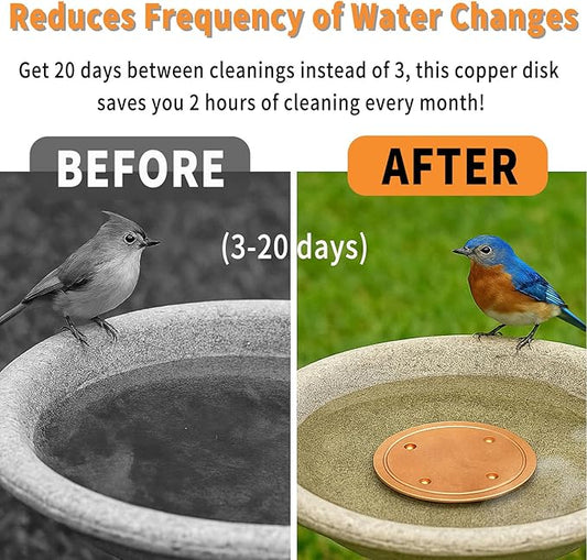4 Pcs Copper Bird Bath Purification Disk, 0.6mm Reinforced 99.99% Pure Copper Bird Bath Cleaner for Indoor Outdoor Garden Backyard – 4” Diameter