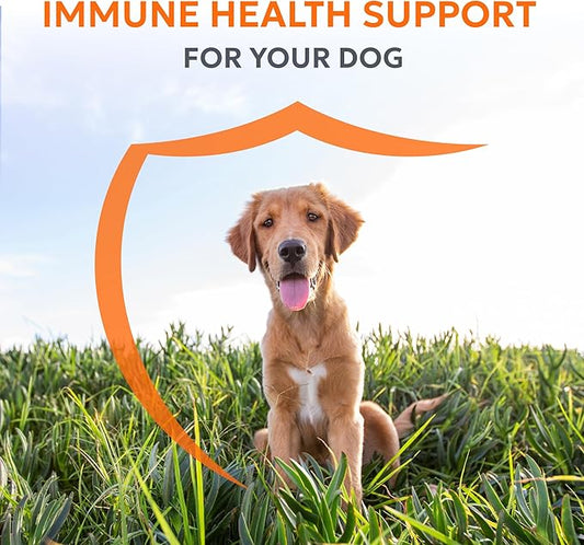Nutramax Laboratories Nutramax Imuquin Immune Health Supplement Powder for Dogs, with Beta Glucans, Marine Lipids, Vitamins and Minerals, 30 Packets, Updated Version