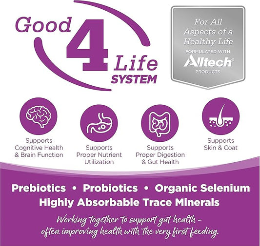 NutriSource Puppy Food for Large Breeds, Chicken and Rice, 26LB