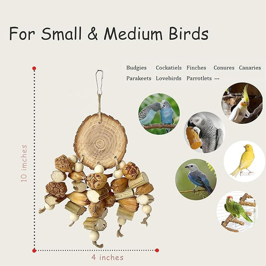 Natural Bird Toys - Chew Toys for Parakeet, Parrot, Cockatiel, Budgie, Conures - Bird Foraging Toys for Small and Medium Size Birds