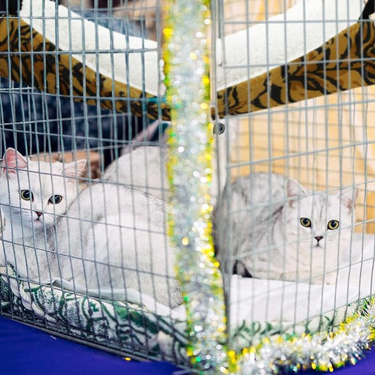 2 Pieces Reversible Cat Hanging Hammock Soft Breathable Pet Cage Hammock with Adjustable Straps and Metal Hooks Double Sided Hanging Bed for Small Dogs Rabbits(Zebra, Tiger Stripes,M)