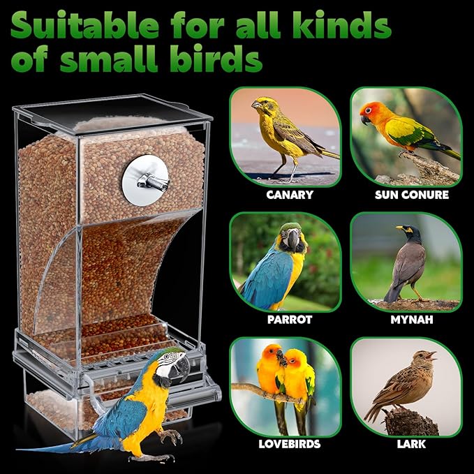 Yaomiao 4 Pcs No Mess Bird Feeders Automatic Parrot Water Dispenser Clear Quail Feeder and Watered Cage Accessories for Small and Medium Parrot Cockatiel Canary(Seed Feeder,Transparent)