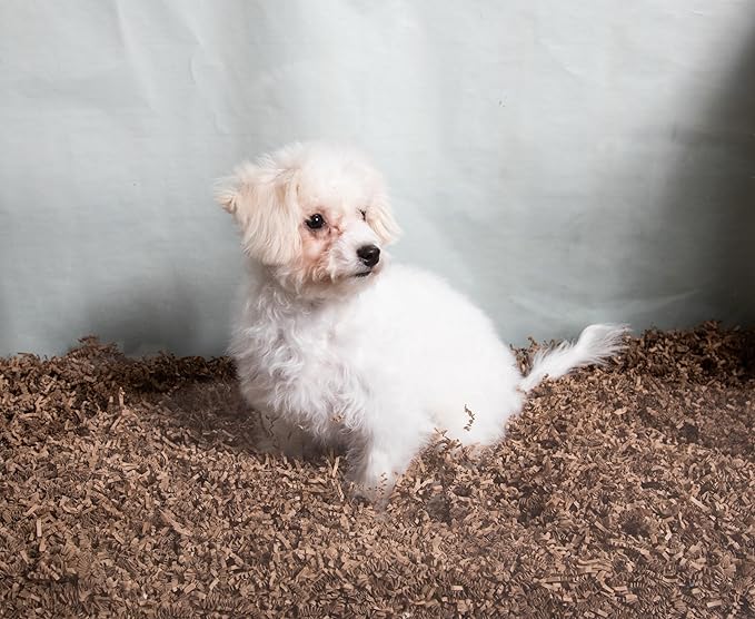 Eco Bedding 99% Dust-Free Paper Bedding for Small Pets & Birds, Eco Natural, 10L - Safe, Clean & Comfortable Nesting Material, Ammonia Blocker